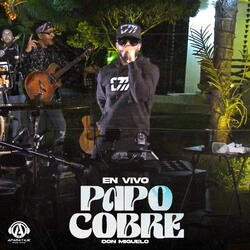 Papo Cobre