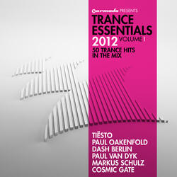 In The Air [Morgan Page, Sultan & Ned Shepard & BT feat. Angela McCluskey] [Mix Cut]