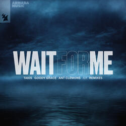 Wait For Me (feat. Goody Grace & Ant Clemons)