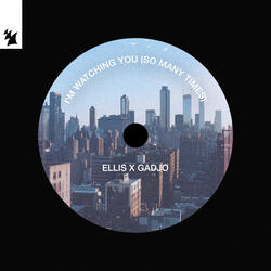 I'm Watching You (So Many Times)