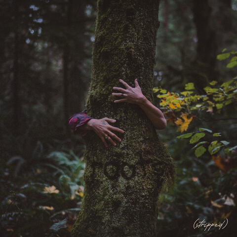 roots