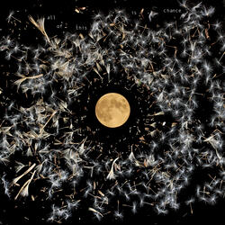 Silver Seed
