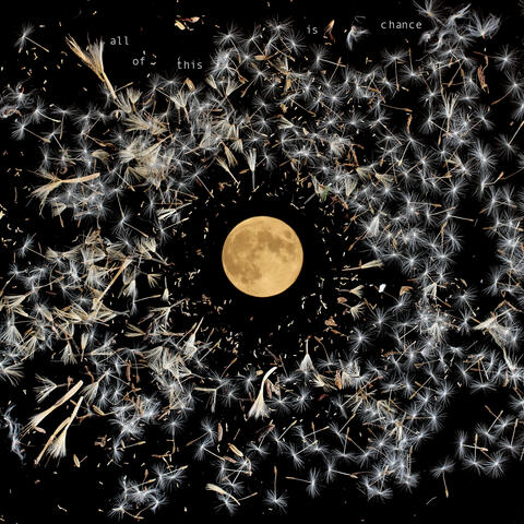 Silver Seed