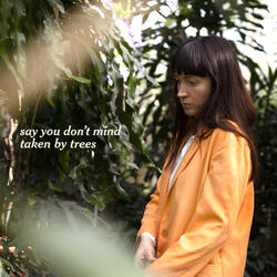 Say You Don't Mind