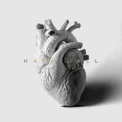 Have It All