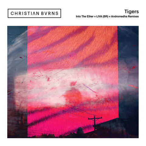 Tigers