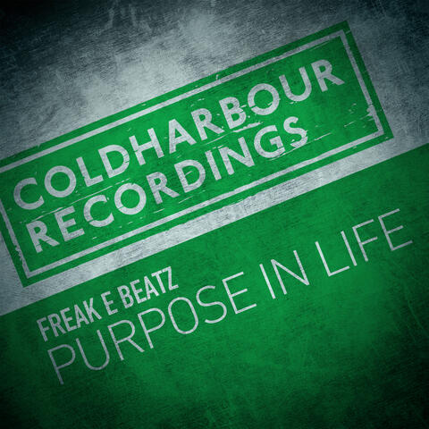 Purpose in Life