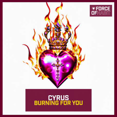 Burning for You