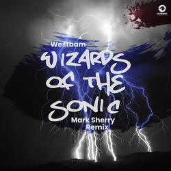 Wizards Of The Sonic