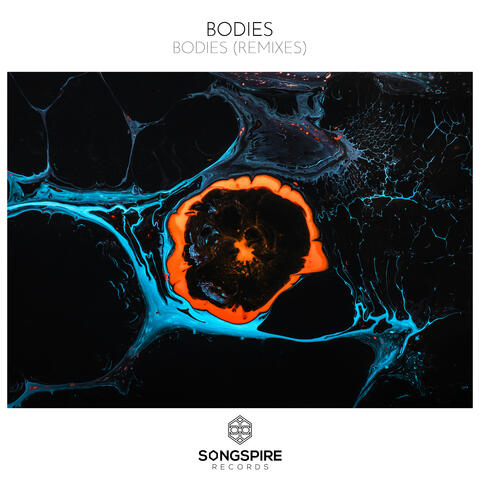 Bodies