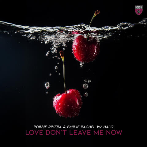 Love Don’t Leave Me Now