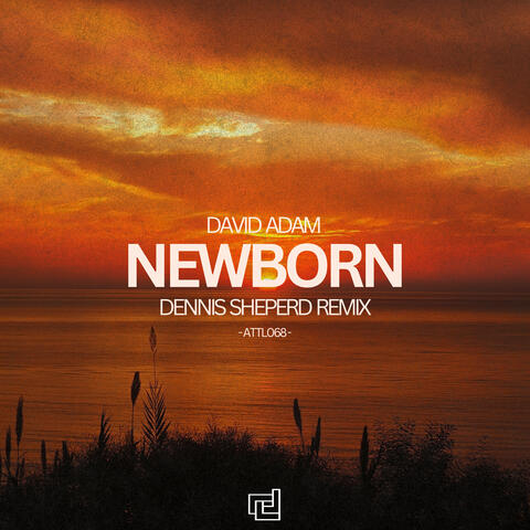 Newborn