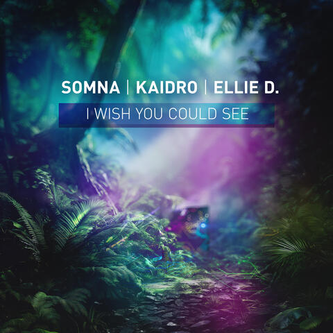 I Wish You Could See