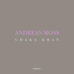 Chaka Khan (Dave Audé Remix)
