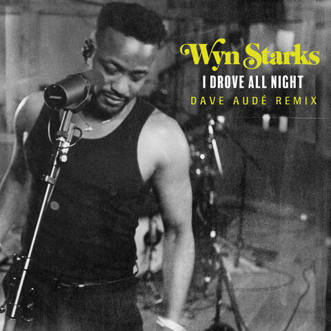 I Drove All Night (Dave Audé Remix)