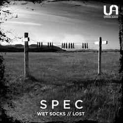 Wet Socks