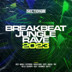Breakbeat, Jungle, Rave - 2023 (Continuous DJ Mix)