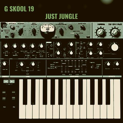 G Skool 19