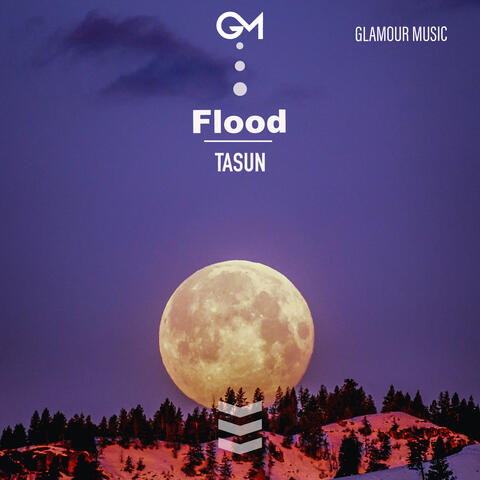 Flood