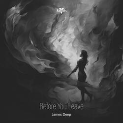 Before You Leave
