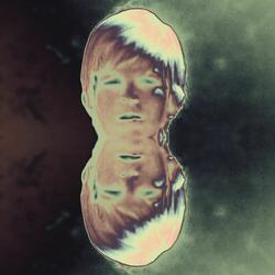 Bredrin From Space