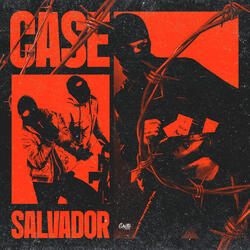 Case