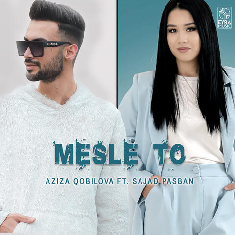 Mesle To