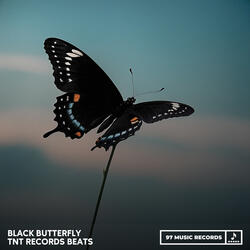 Black Butterfly