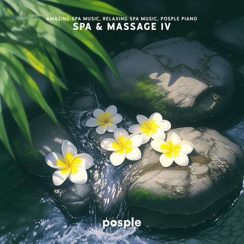 Spa & Massage IV