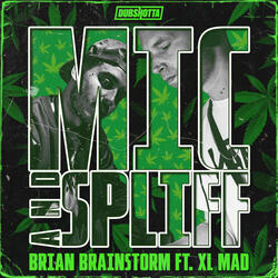 Mic And Spliff