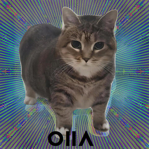 OIIA