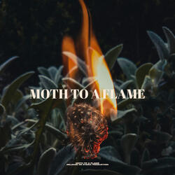 Moth To A Flame
