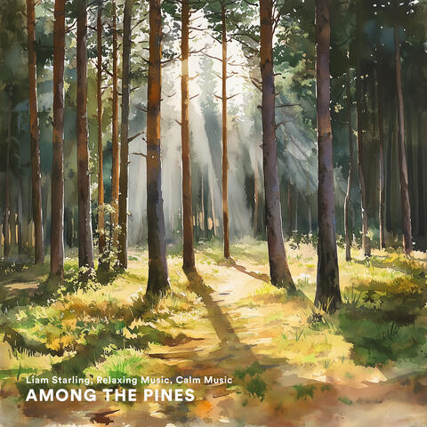 Among the Pines
