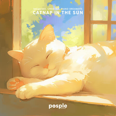 Catnap in the Sun