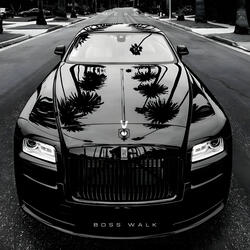 Boss Walk