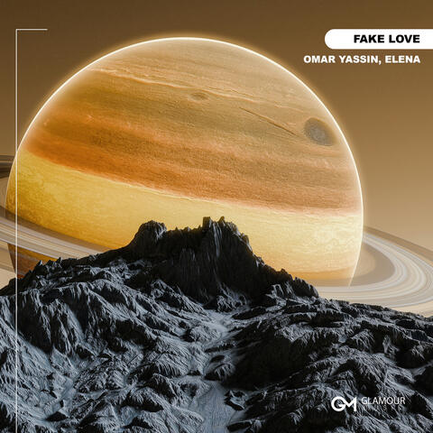 Fake Love