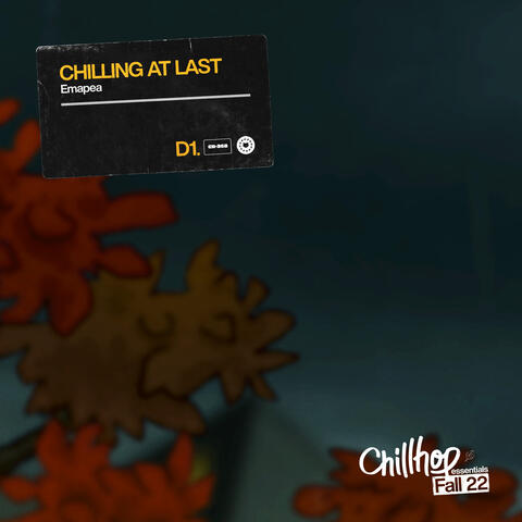 Chilling at Last