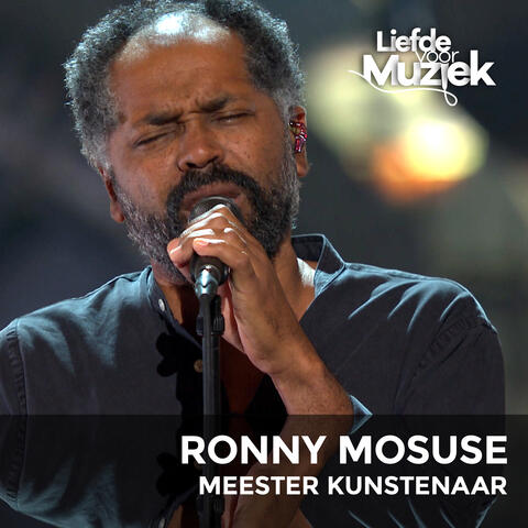 Meester Kunstenaar