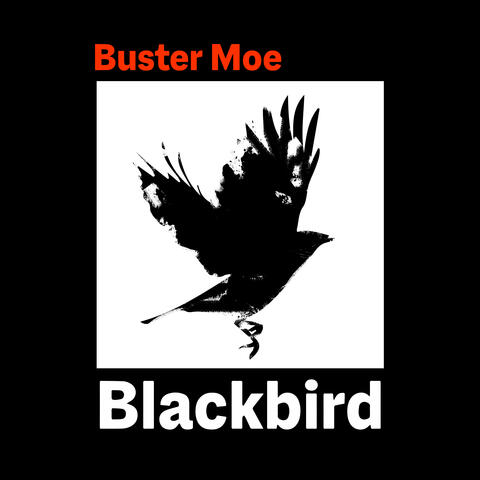Blackbird