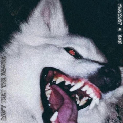 Don't Test The Dawgs