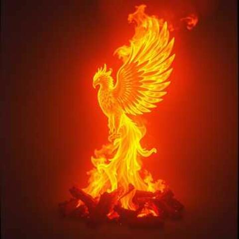 Burn It All Down