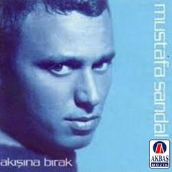 Akışına bırak