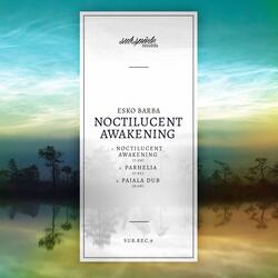 Noctilucent Awakening