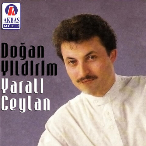 Yaralı ceylan