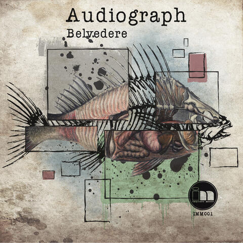 Audiograph