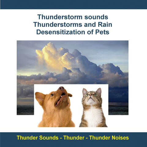 Thunderstorm Sounds – Thunderstorms and Rain - Desensitization of Pets