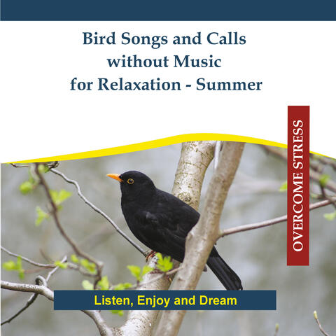 Bird Songs and Calls without Music for Relaxation - Summer