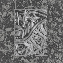 Persistence of Vision