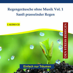 Regengeräusche ohne Musik Vol. 1 - Sanft prasselnder Regen
