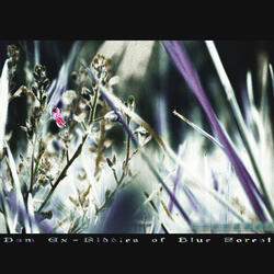 Riddles of Blue Forest